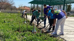 İmam hatipli gençlerden “Bereket Bahçesi” projesi
