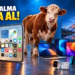 229 Bin TL'yi iPhone Duo'ya Vermek Yerine Neler Alabilirsiniz?